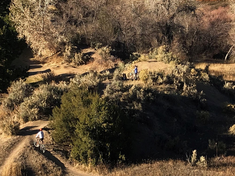 boys on bicycles near junipers and sagebrushes
